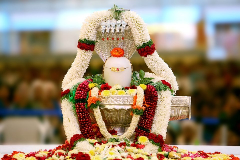 Rudrabhishek Puja (रुद्राभिषेक पूजा)