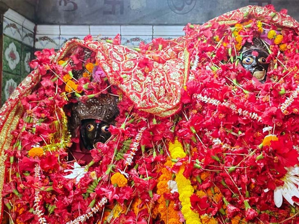 Maa Aranya Devi Temple, Ara (माँ अरण्य देवी मंदिर, आरा)