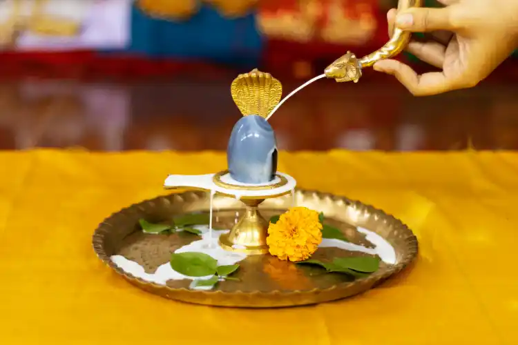 Rudrabhishek (रुद्राभिषेक)